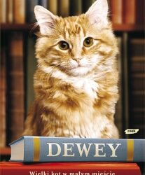 DKK – Viki Myron „Dewey Wielki kot w małym mieście”