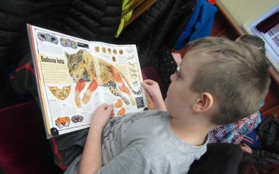 „Światowy Dzień Kota” w Czytelni dla Dzieci