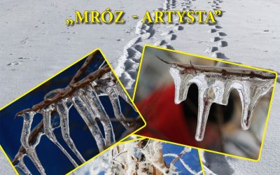 mróz – artysta