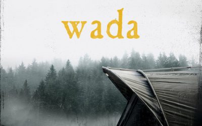 Robert Małecki – Wada