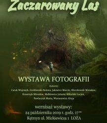 Wernisaż wystawy „Zaczarowany las”