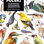 Marek Maruszczak "Głupie ptaki Polski. Przewodnik świadomego obserwatora"
