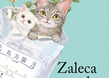 Shou Ishida „Zaleca się kota”